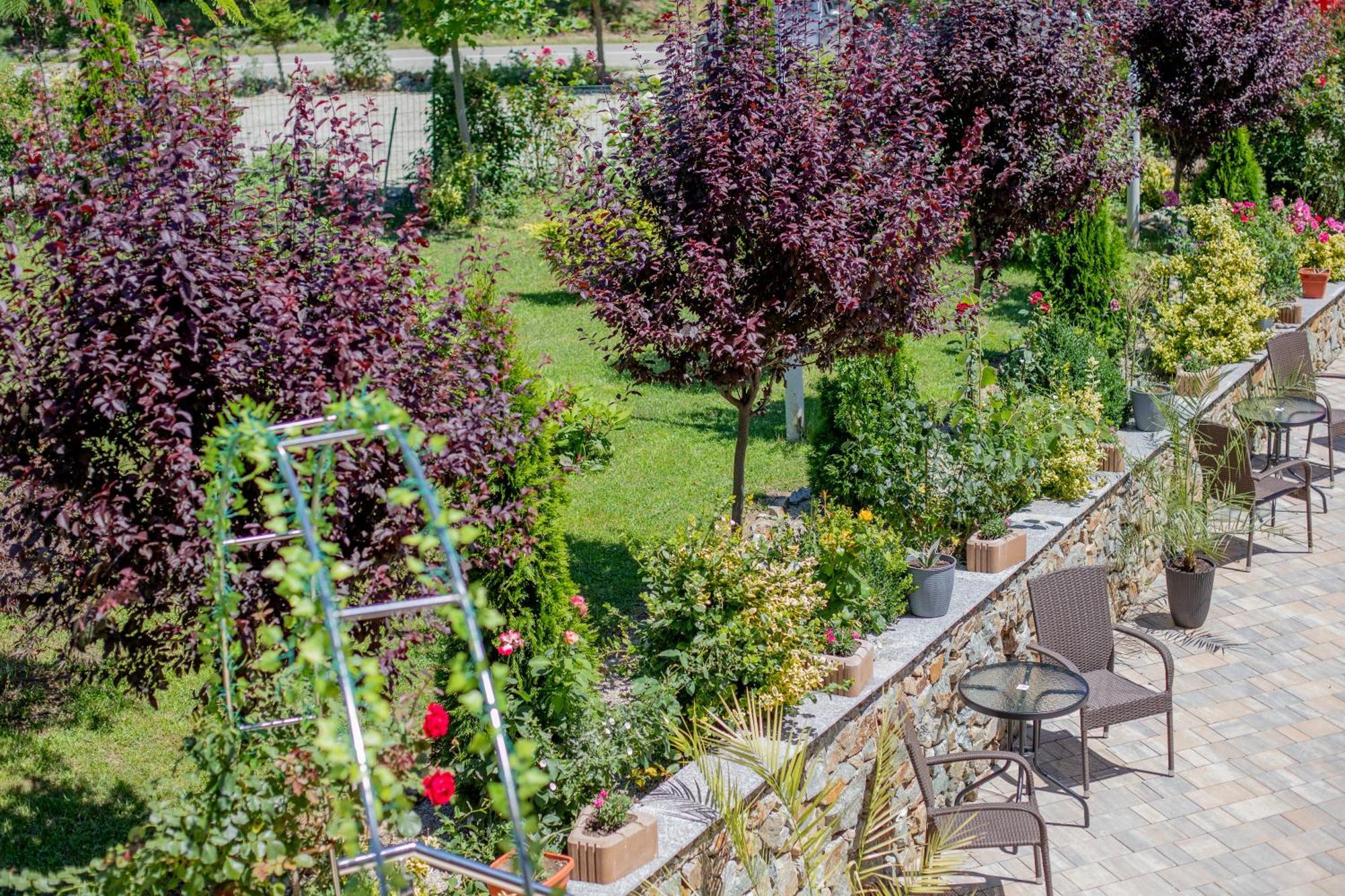 Отель Rem Garden Новач-Стрэйни Экстерьер фото